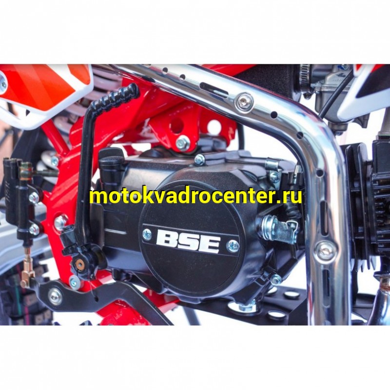 Купить  Питбайк BSE MX125 Racing Red (шт) купить с доставкой по Москве и России, цена, технические характеристики, комплектация фото  - motoserp.ru