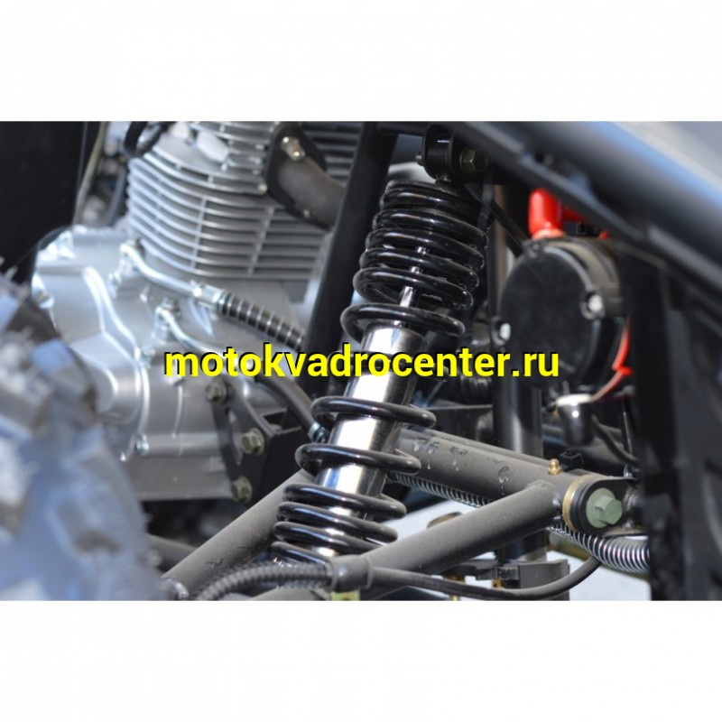 Купить  200cc Квадроцикл BULLY 200 LD premium (Булли 200) верт. мотор Loncin LX162FMK-2 200сс, утил., вариатор, лебедка!!,  литые колеса 12&quot; (шт) (Хар купить с доставкой по Москве и России, цена, технические характеристики, комплектация фото  - motoserp.ru