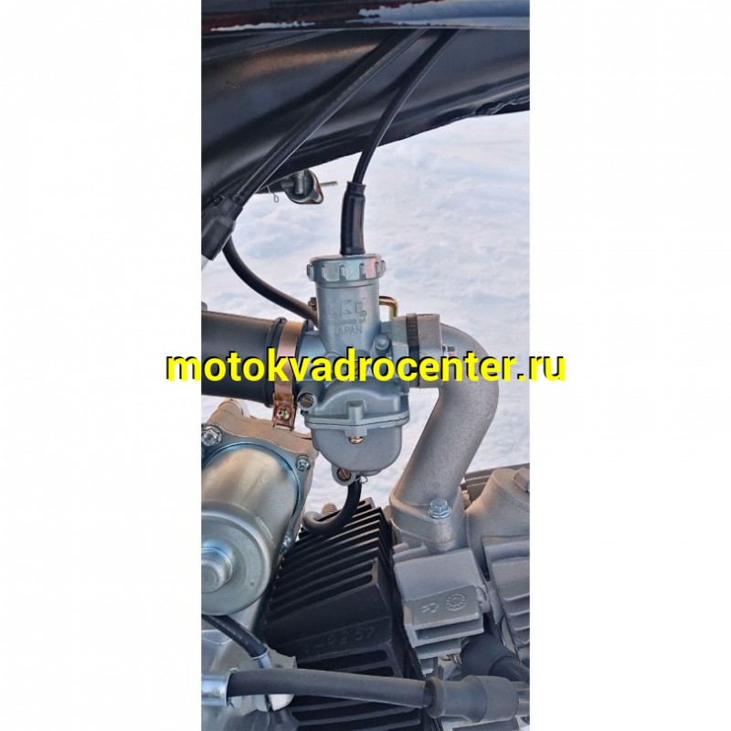 Купить  Мопед Roliz Alpha C Эконом 17/17" бар/бар. (шт) 01100 купить с доставкой по Москве и России, цена, технические характеристики, комплектация фото  - motoserp.ru