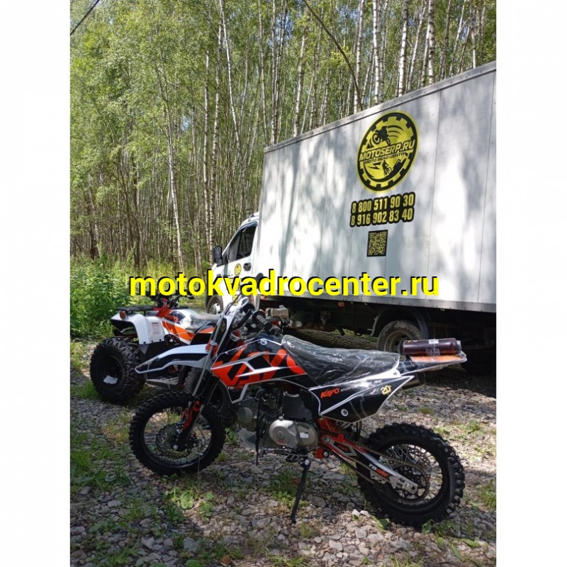 Купить  Питбайк KAYO MINI TD125 14/12 (п/автомат, эл. стартер 2024 г.) (шт) (ФОТО купить с доставкой по Москве и России, цена, технические характеристики, комплектация фото  - motoserp.ru