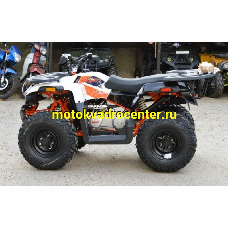 Купить  180cc Квадроцикл KAYO AU180 (белый пластик 2024 г.) ПТС  поворот, стоп, приборка, зеркала (шт) (SM купить с доставкой по Москве и России, цена, технические характеристики, комплектация фото  - motoserp.ru