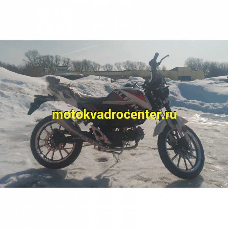 Купить  Мопед Millenium Alpha Champ  4Т; 50cc; колеса 17"литые; 4пер, эл. старт; БЕЗ КИКА!  (шт) 01500 (ТехМаркет купить с доставкой по Москве и России, цена, технические характеристики, комплектация фото  - motoserp.ru