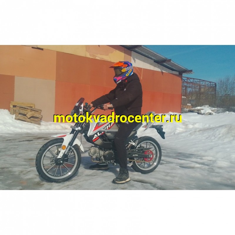 Купить  Мопед Millenium Alpha Champ  4Т; 50cc; колеса 17"литые; 4пер, эл. старт; БЕЗ КИКА!  (шт) 01500 (ТехМаркет купить с доставкой по Москве и России, цена, технические характеристики, комплектация фото  - motoserp.ru