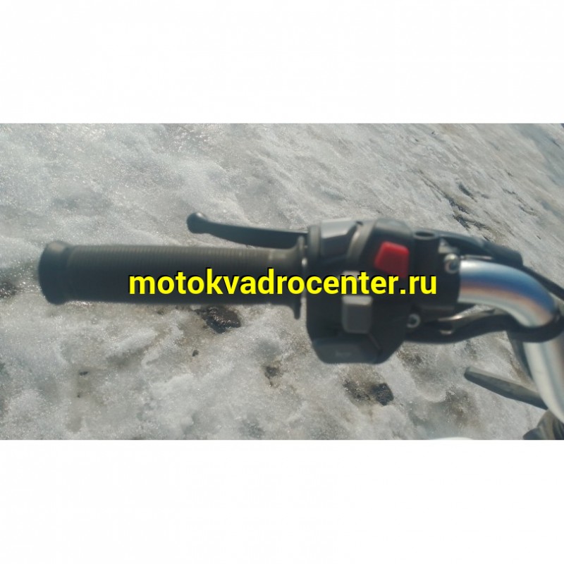 Купить  Мопед Millenium Alpha Champ  4Т; 50cc; колеса 17"литые; 4пер, эл. старт; БЕЗ КИКА!  (шт) 01500 (ТехМаркет купить с доставкой по Москве и России, цена, технические характеристики, комплектация фото  - motoserp.ru