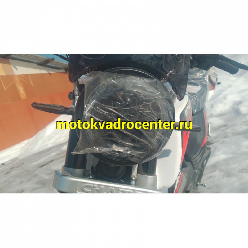 Купить  Мопед Millenium Alpha Champ  4Т; 50cc; колеса 17"литые; 4пер, эл. старт; БЕЗ КИКА!  (шт) 01500 (ТехМаркет купить с доставкой по Москве и России, цена, технические характеристики, комплектация фото  - motoserp.ru