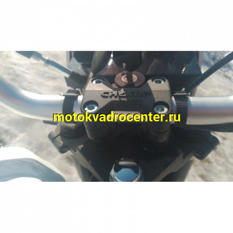 Купить  Мопед Millenium Alpha Champ  4Т; 50cc; колеса 17"литые; 4пер, эл. старт; БЕЗ КИКА!  (шт) 01500 (ТехМаркет купить с доставкой по Москве и России, цена, технические характеристики, комплектация фото  - motoserp.ru