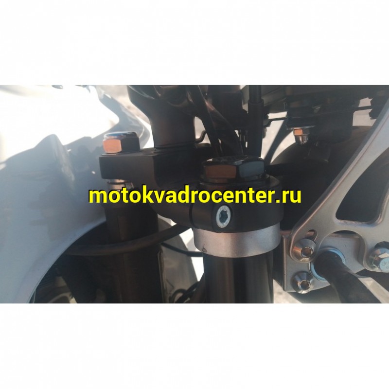 Купить  Мопед Millenium Alpha Champ  4Т; 50cc; колеса 17"литые; 4пер, эл. старт; БЕЗ КИКА!  (шт) 01500 (ТехМаркет купить с доставкой по Москве и России, цена, технические характеристики, комплектация фото  - motoserp.ru