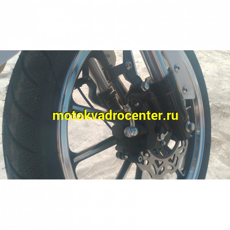 Купить  Мопед Millenium Alpha Champ  4Т; 50cc; колеса 17"литые; 4пер, эл. старт; БЕЗ КИКА!  (шт) 01500 (ТехМаркет купить с доставкой по Москве и России, цена, технические характеристики, комплектация фото  - motoserp.ru