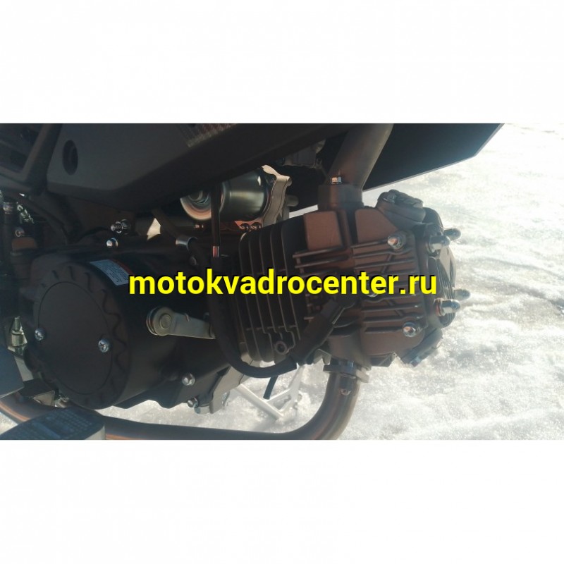 Купить  Мопед Millenium Alpha Champ  4Т; 50cc; колеса 17"литые; 4пер, эл. старт; БЕЗ КИКА!  (шт) 01500 (ТехМаркет купить с доставкой по Москве и России, цена, технические характеристики, комплектация фото  - motoserp.ru