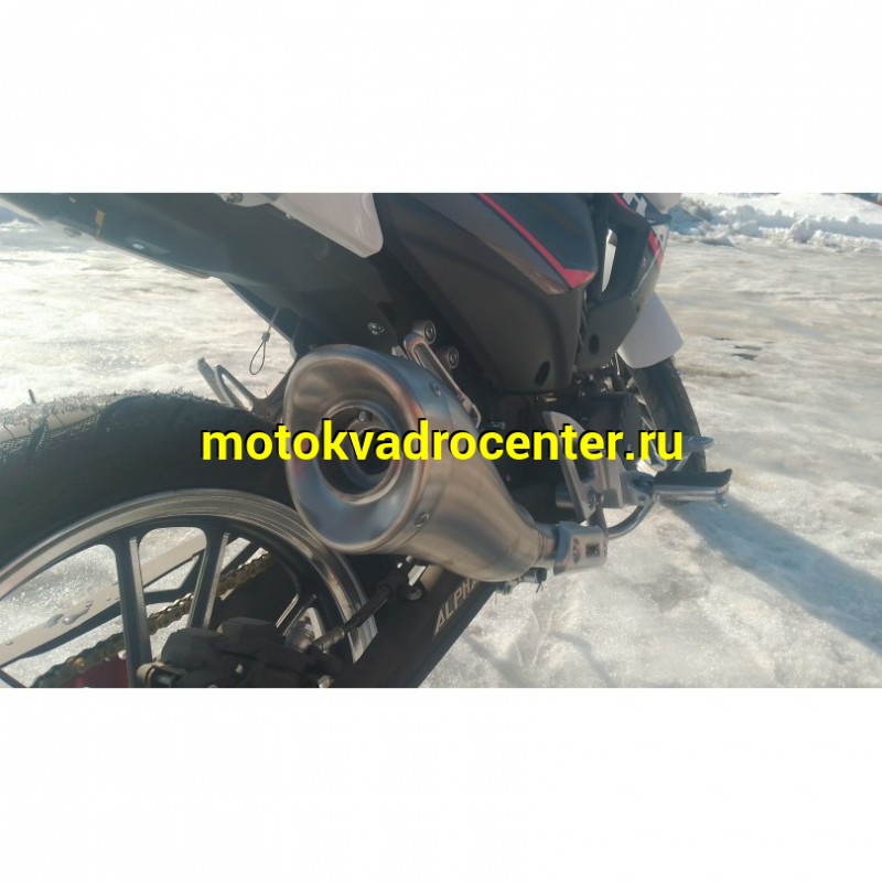 Купить  Мопед Millenium Alpha Champ  4Т; 50cc; колеса 17"литые; 4пер, эл. старт; БЕЗ КИКА!  (шт) 01500 (ТехМаркет купить с доставкой по Москве и России, цена, технические характеристики, комплектация фото  - motoserp.ru