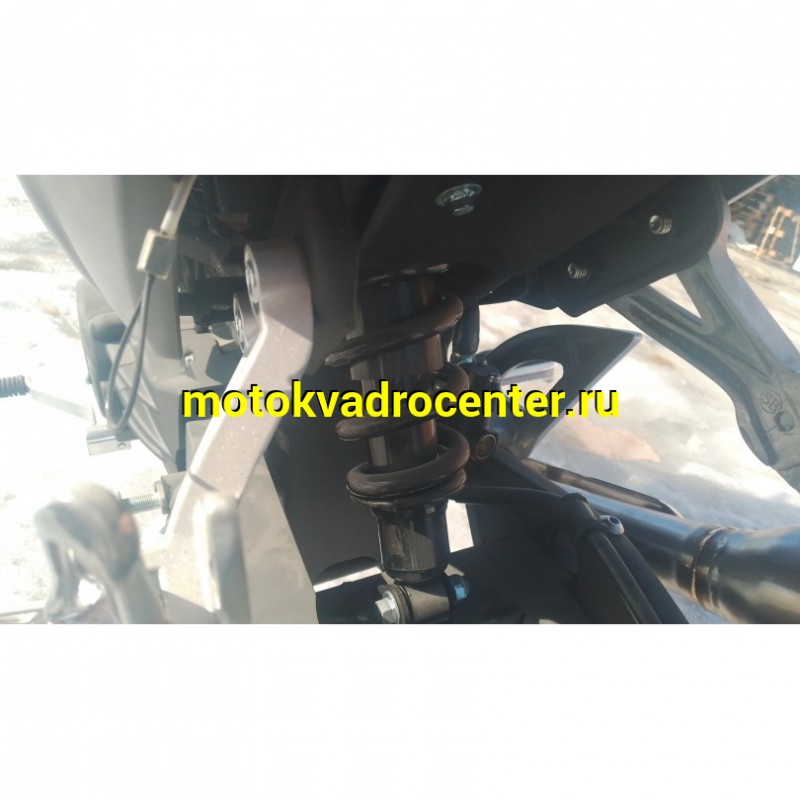 Купить  Мопед Millenium Alpha Champ  4Т; 50cc; колеса 17"литые; 4пер, эл. старт; БЕЗ КИКА!  (шт) 01500 (ТехМаркет купить с доставкой по Москве и России, цена, технические характеристики, комплектация фото  - motoserp.ru