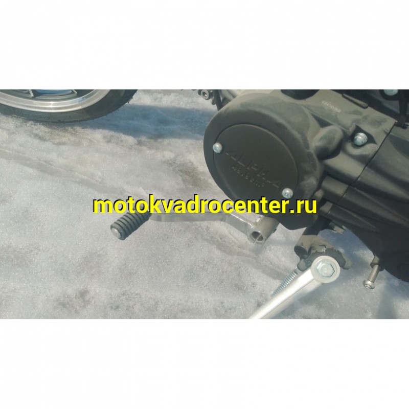 Купить  Мопед Millenium Alpha Champ  4Т; 50cc; колеса 17"литые; 4пер, эл. старт; БЕЗ КИКА!  (шт) 01500 (ТехМаркет купить с доставкой по Москве и России, цена, технические характеристики, комплектация фото  - motoserp.ru