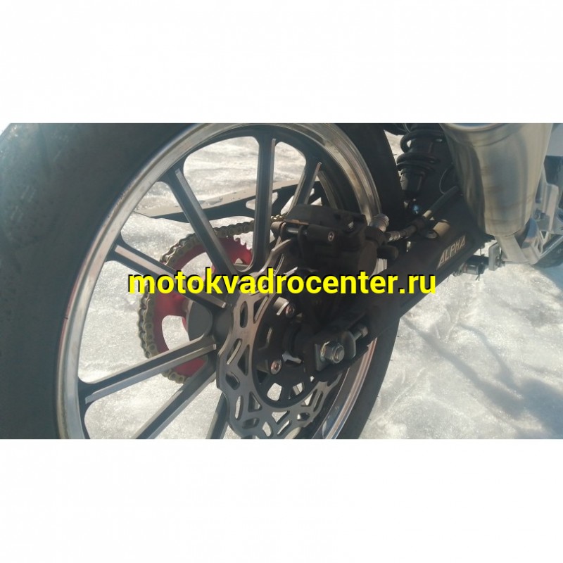 Купить  Мопед Millenium Alpha Champ  4Т; 50cc; колеса 17"литые; 4пер, эл. старт; БЕЗ КИКА!  (шт) 01500 (ТехМаркет купить с доставкой по Москве и России, цена, технические характеристики, комплектация фото  - motoserp.ru