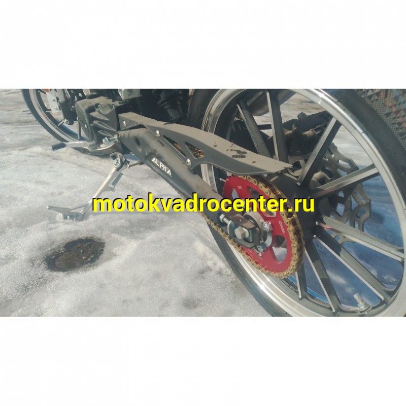 Купить  Мопед Millenium Alpha Champ  4Т; 50cc; колеса 17"литые; 4пер, эл. старт; БЕЗ КИКА!  (шт) 01500 (ТехМаркет купить с доставкой по Москве и России, цена, технические характеристики, комплектация фото  - motoserp.ru