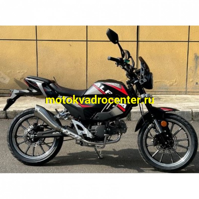 Купить  Мопед Millenium Alpha Champ  4Т; 50cc; колеса 17"литые; 4пер, эл. старт;  (шт) 01500 (ТехМаркет (ФОТО купить с доставкой по Москве и России, цена, технические характеристики, комплектация фото  - motoserp.ru