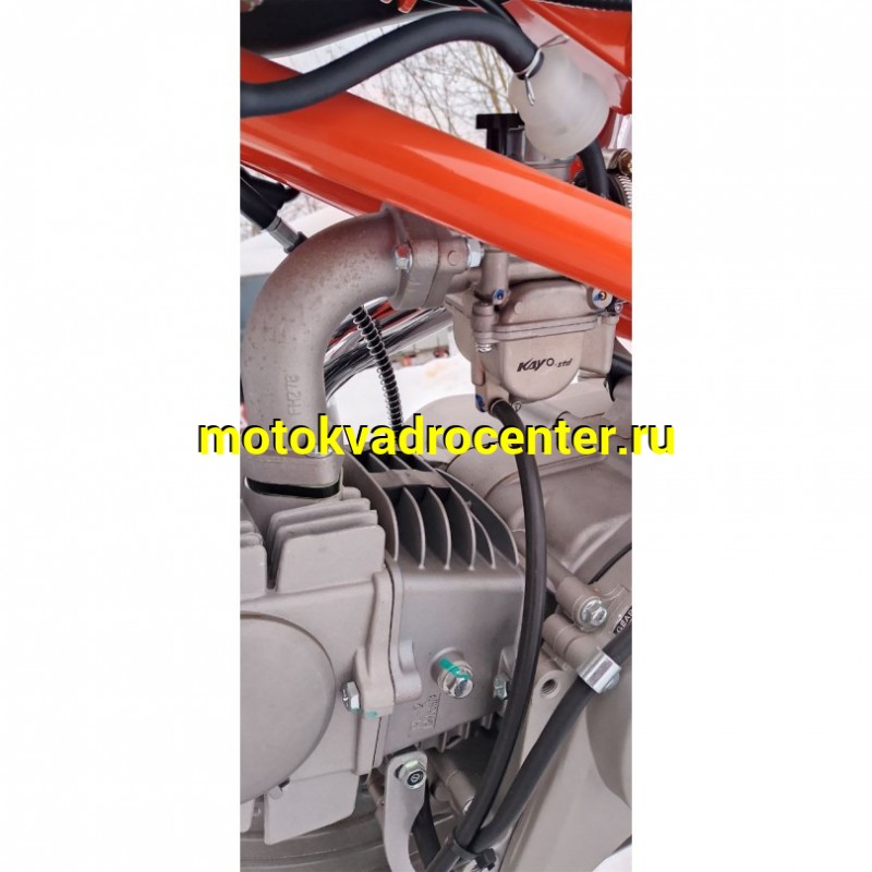 Купить  Питбайк KAYO Basic K125EM 17/14 KRZ (механ. сцепл., эл. стартер) (шт) (SM  купить с доставкой по Москве и России, цена, технические характеристики, комплектация фото  - motoserp.ru