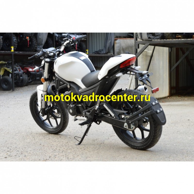 Купить  Мопед VENTO MONSTER 50 PLUS (репл DUCATI)  4так; 50cc; колеса 17"литые; 4пер, эл. старт;  (шт) 01250 (Vento купить с доставкой по Москве и России, цена, технические характеристики, комплектация фото  - motoserp.ru