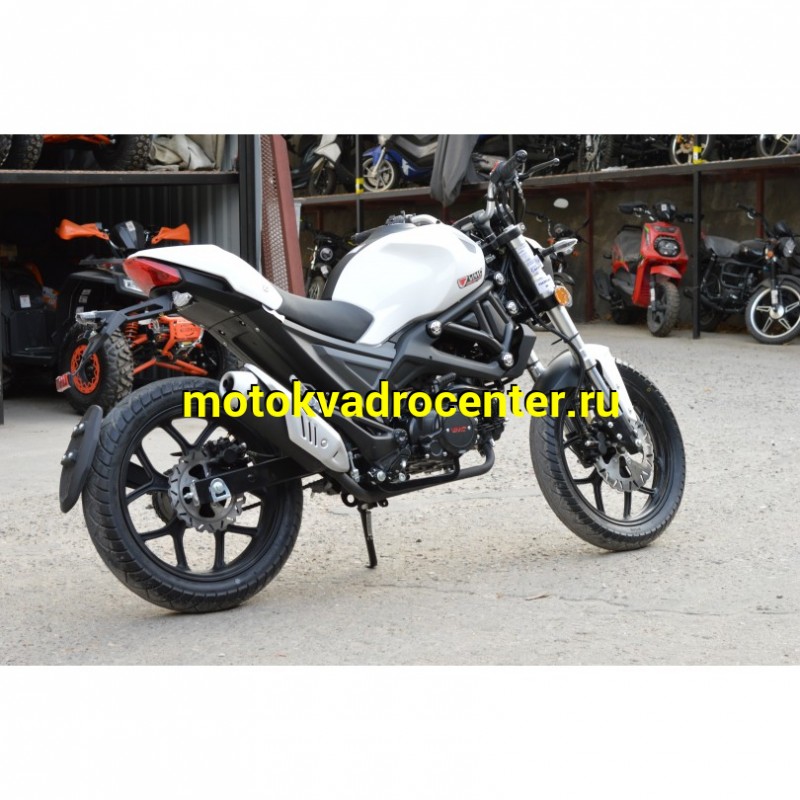 Купить  Мопед VENTO MONSTER 50 PLUS (репл DUCATI)  4так; 50cc; колеса 17"литые; 4пер, эл. старт;  (шт) 01250 (Vento купить с доставкой по Москве и России, цена, технические характеристики, комплектация фото  - motoserp.ru