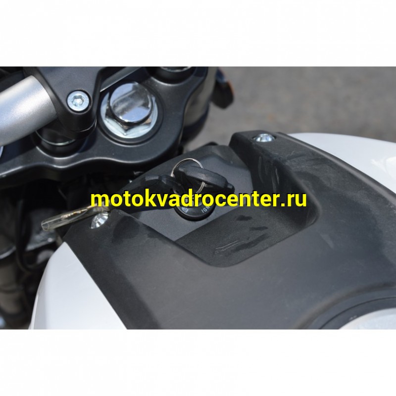 Купить  Мопед VENTO MONSTER 50 PLUS (репл DUCATI)  4так; 50cc; колеса 17"литые; 4пер, эл. старт;  (шт) 01250 (Vento купить с доставкой по Москве и России, цена, технические характеристики, комплектация фото  - motoserp.ru