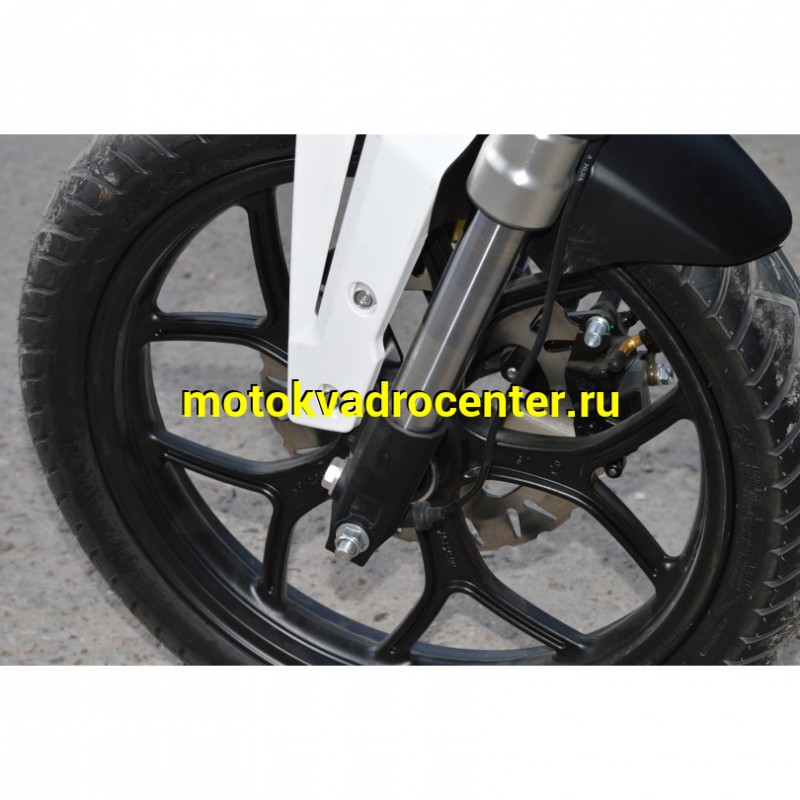 Купить  Мопед VENTO MONSTER 50 PLUS (репл DUCATI)  4так; 50cc; колеса 17"литые; 4пер, эл. старт;  (шт) 01250 (Vento купить с доставкой по Москве и России, цена, технические характеристики, комплектация фото  - motoserp.ru