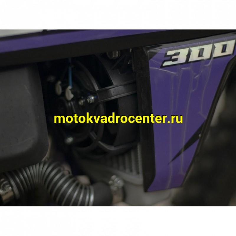 Купить  ====Мотоцикл Кросс/Эндуро PROCIDA K16 NB300 PURPLE (спортинв) (шт) купить с доставкой по Москве и России, цена, технические характеристики, комплектация фото  - motoserp.ru