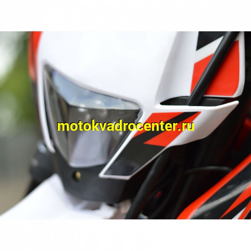 Купить  ====Мотоцикл Кросс/Эндуро PROCIDA K02 PR300 RED (спортинв) (шт) купить с доставкой по Москве и России, цена, технические характеристики, комплектация фото  - motoserp.ru