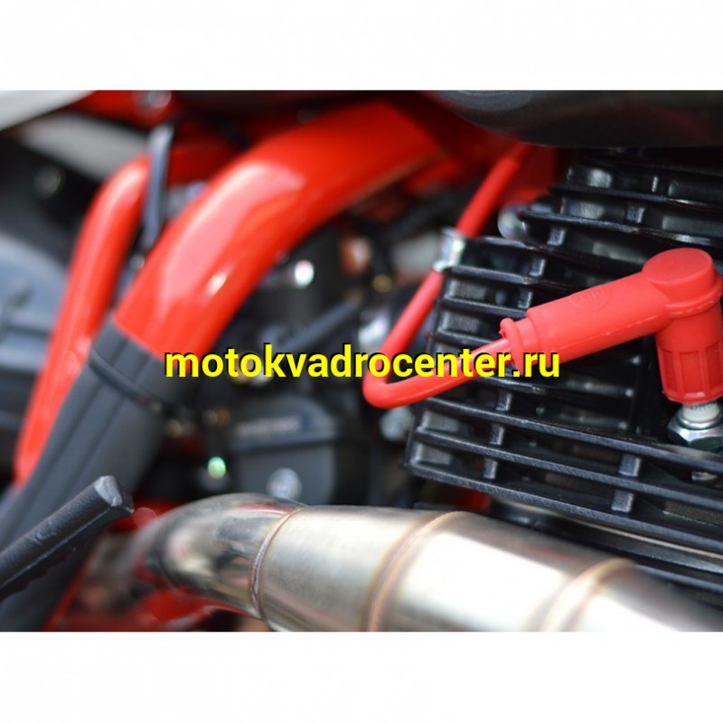 Купить  ====Мотоцикл Кросс/Эндуро PROCIDA K02 PR300 RED (спортинв) (шт) купить с доставкой по Москве и России, цена, технические характеристики, комплектация фото  - motoserp.ru