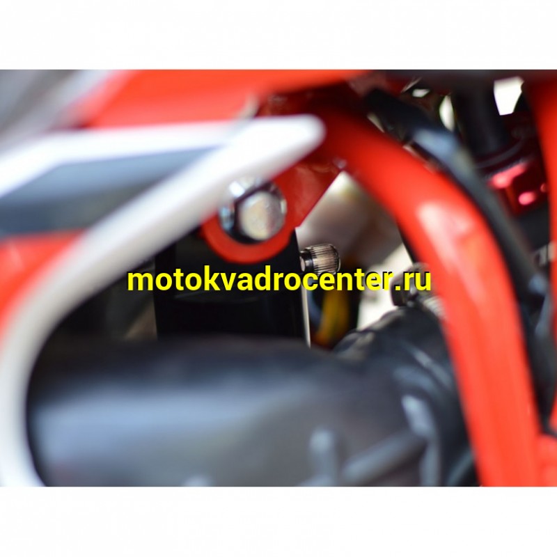 Купить  ====Мотоцикл Кросс/Эндуро PROCIDA K02 PR300 RED (спортинв) (шт) купить с доставкой по Москве и России, цена, технические характеристики, комплектация фото  - motoserp.ru