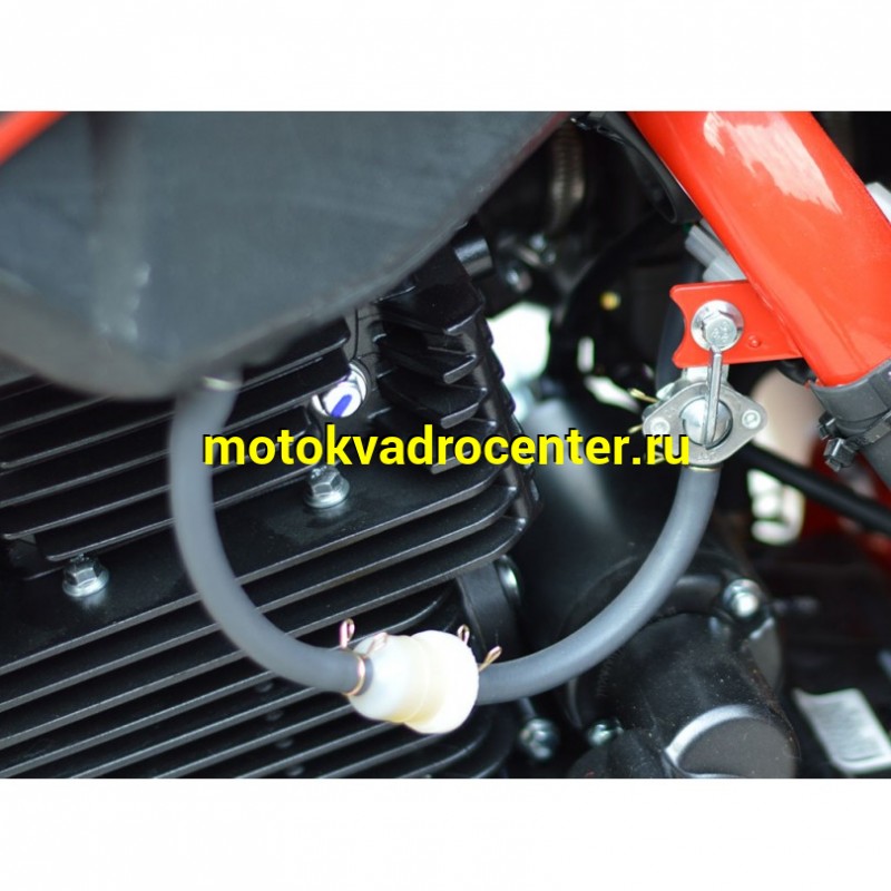 Купить  ====Мотоцикл Кросс/Эндуро PROCIDA K02 PR300 RED (спортинв) (шт) купить с доставкой по Москве и России, цена, технические характеристики, комплектация фото  - motoserp.ru