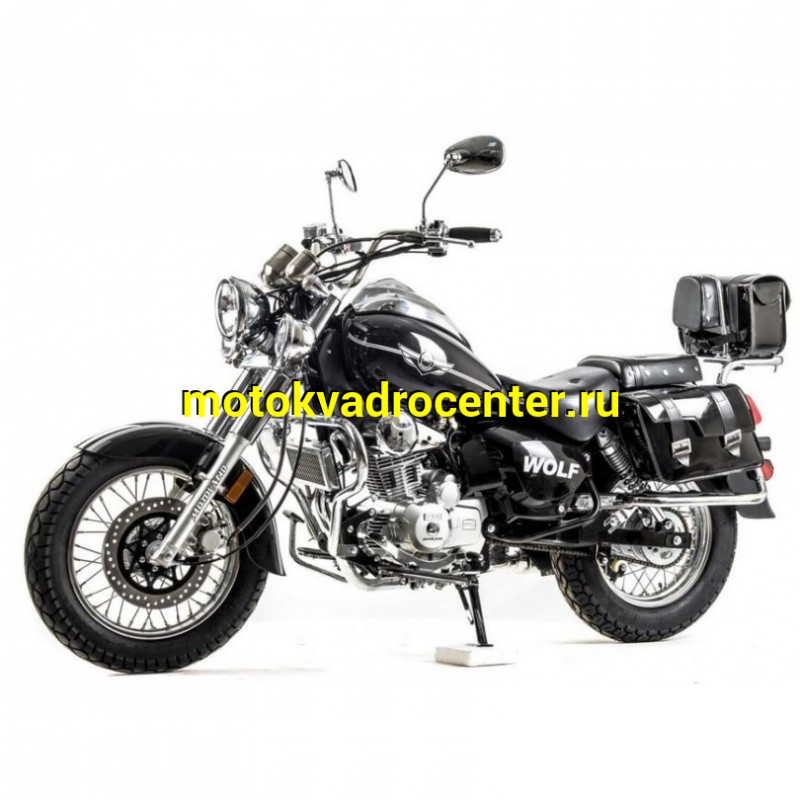 Купить  Мотоцикл Motoland WOLF 300 4Т., двиг. 175FMM PR5, возд.-масл., диск/барабан, 110/90-16"/180/90-15" (зал) (шт) (зак) (ML 21917 купить с доставкой по Москве и России, цена, технические характеристики, комплектация фото  - motoserp.ru