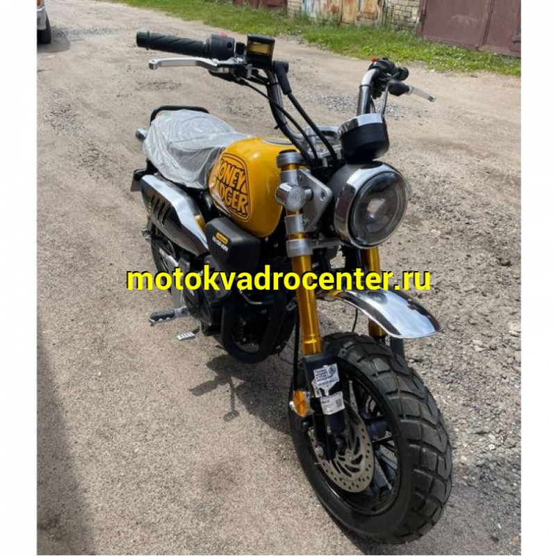 Купить  Мопед Motoland Monkey 50сс 12/12", электр/кикстартер, Диск/Диск  (шт) 01500 (ML 21951 (ФОТО купить с доставкой по Москве и России, цена, технические характеристики, комплектация фото  - motoserp.ru