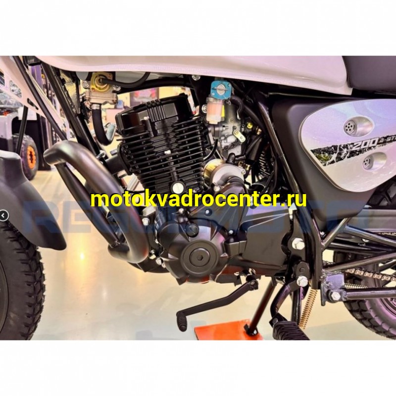 Купить  Мотоцикл Regulmoto Monster 200сс, 17/17", балансир, линз. фара, литые колеса (шт)  купить с доставкой по Москве и России, цена, технические характеристики, комплектация фото  - motoserp.ru