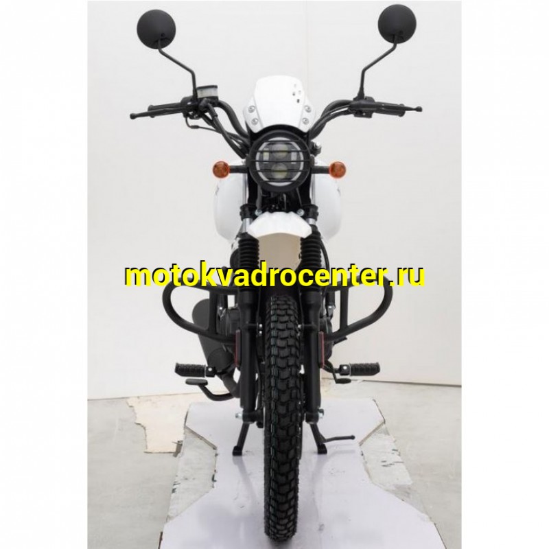 Купить  Мотоцикл Regulmoto Monster 200сс, 17/17&quot;, балансир, линз. фара, литые колеса (шт) купить с доставкой по Москве и России, цена, технические характеристики, комплектация фото  - motoserp.ru