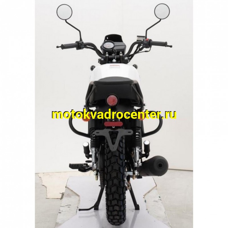 Купить  Мотоцикл Regulmoto Monster 200сс, 17/17&quot;, балансир, линз. фара, литые колеса (шт) купить с доставкой по Москве и России, цена, технические характеристики, комплектация фото  - motoserp.ru