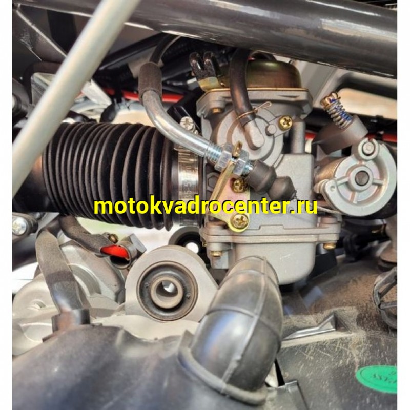 Купить  200cc Квадроцикл ATV TBM Thunder Lux 200сс (комплект запчастей для сборки) 10/10&quot;, лебед, лит кол, фара-балка, защита рук, фаркоп (шт) (Regul (ФОТО купить с доставкой по Москве и России, цена, технические характеристики, комплектация фото  - motoserp.ru