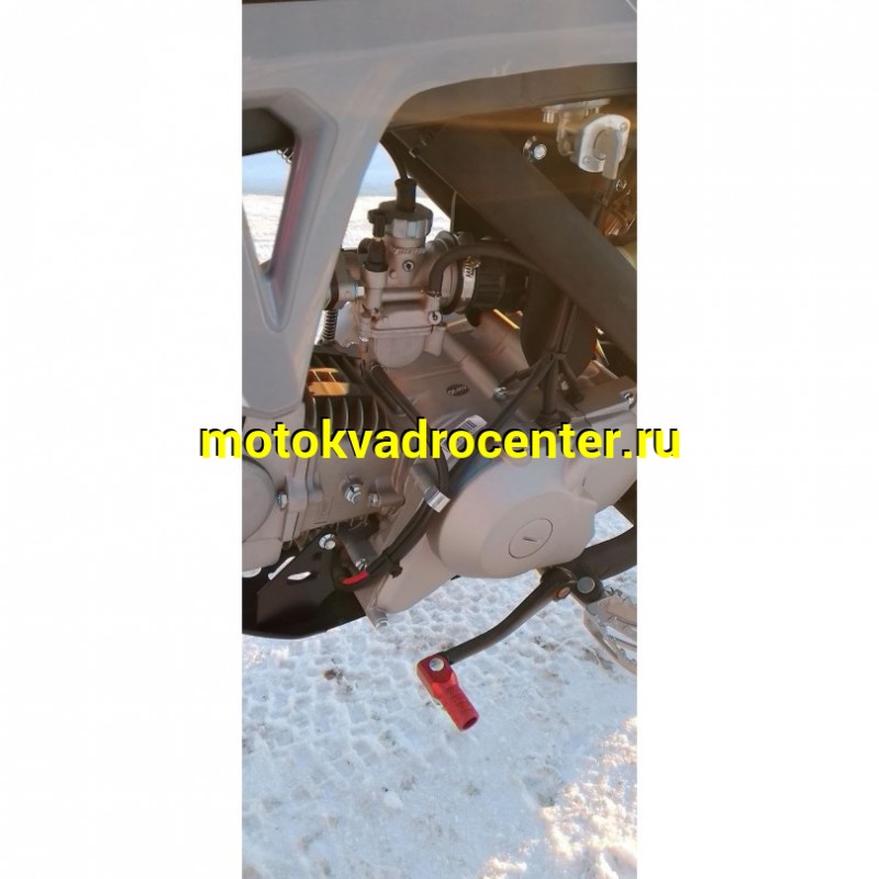 Купить  Питбайк JHL LK24 YX125EM 17/14 (механ. сцепл., эл. стартер 2024 г.) (шт) (SM купить с доставкой по Москве и России, цена, технические характеристики, комплектация фото  - motoserp.ru