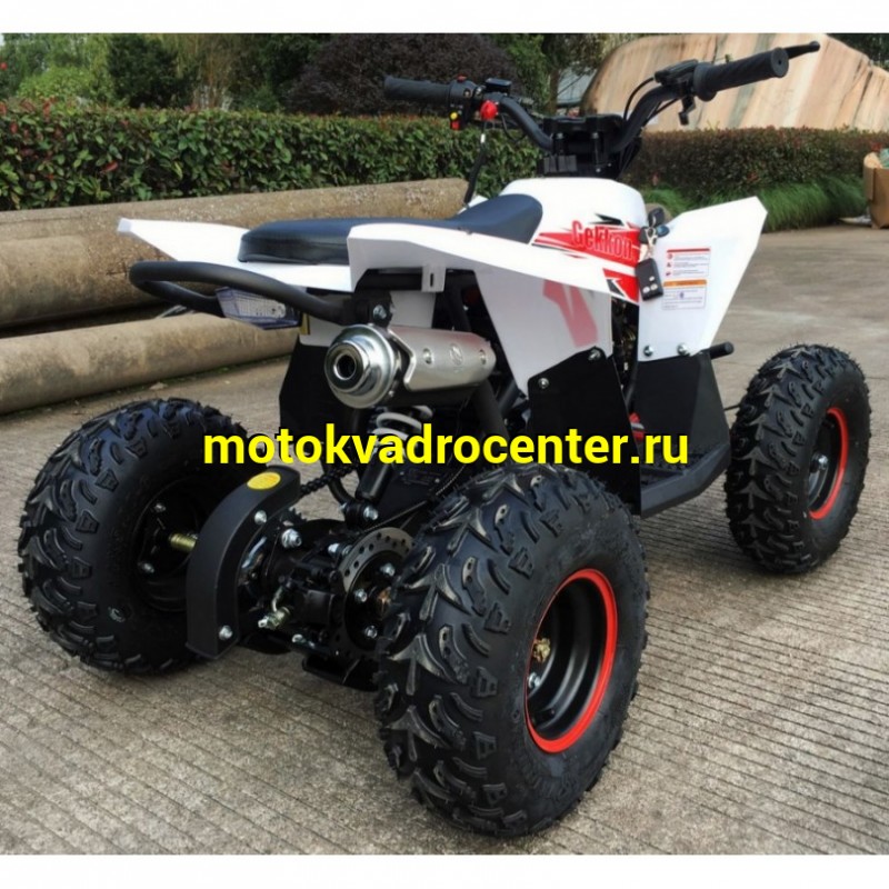 Купить  . 90cc Квадроцикл Минивездеход MOTAX  GEKKON 90 cc 1+1 (Реверс) (шт)  купить с доставкой по Москве и России, цена, технические характеристики, комплектация фото  - motoserp.ru