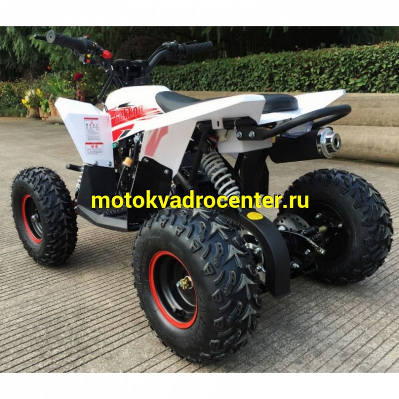 Купить  . 90cc Квадроцикл Минивездеход MOTAX  GEKKON 90 cc 1+1 (Реверс) (шт)  купить с доставкой по Москве и России, цена, технические характеристики, комплектация фото  - motoserp.ru