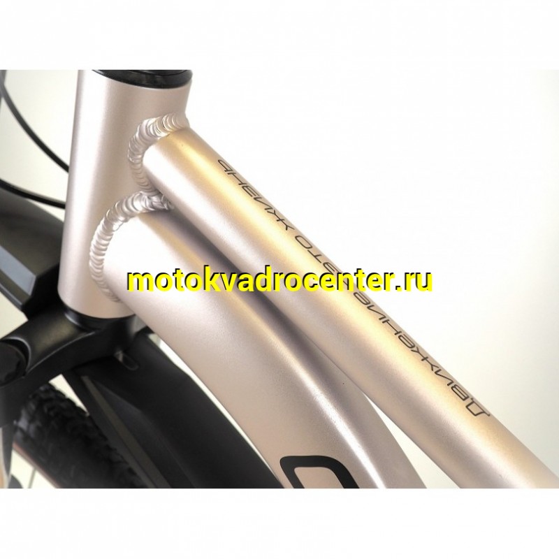 Купить  26" ORLAN WING VENUS 2.0 золотистый (14") (Орлан Винг Венус 2.0) 26"; 7ск; рама-алюминий; тормоз-Disk (шт) (ART (M купить с доставкой по Москве и России, цена, технические характеристики, комплектация фото  - motoserp.ru