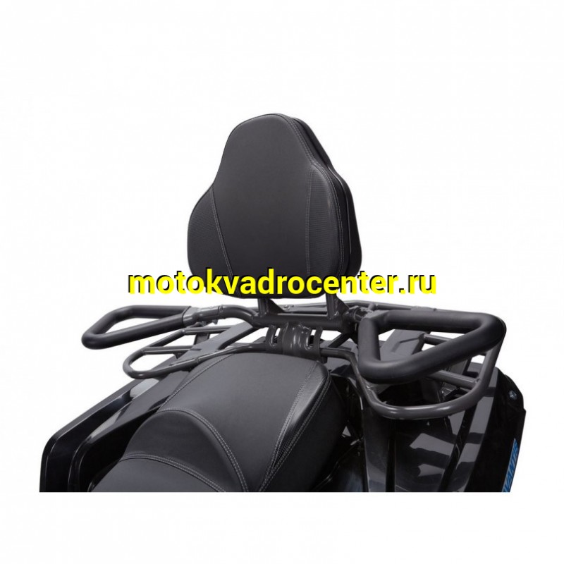 Купить  200cc Квадроцикл AVANTIS Forester Long 200 Premium, утил, вар, 10", Длинная база, литые колеса, леб, фарк, спинка (шт) (Avantis купить с доставкой по Москве и России, цена, технические характеристики, комплектация фото  - motoserp.ru