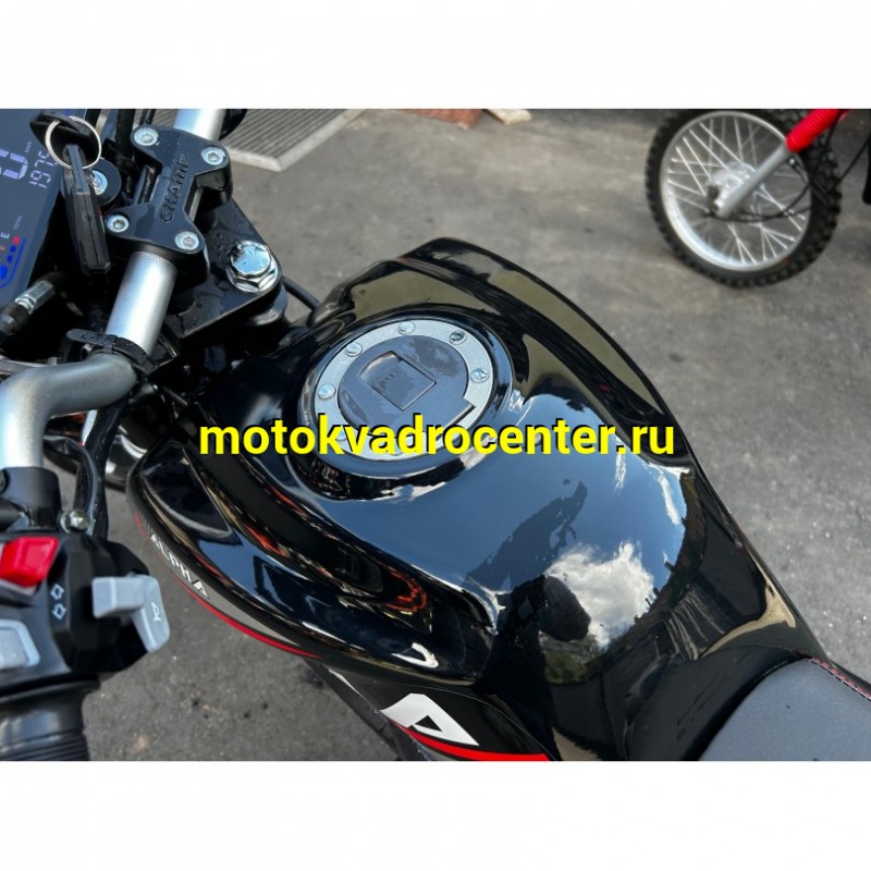 Купить  Мопед Millenium Alpha Champ, пробег 198км  4Т; 50/150cc; колеса 17"литые; 4пер, эл. старт; БЕЗ КИКА!  (шт)  купить с доставкой по Москве и России, цена, технические характеристики, комплектация фото  - motoserp.ru