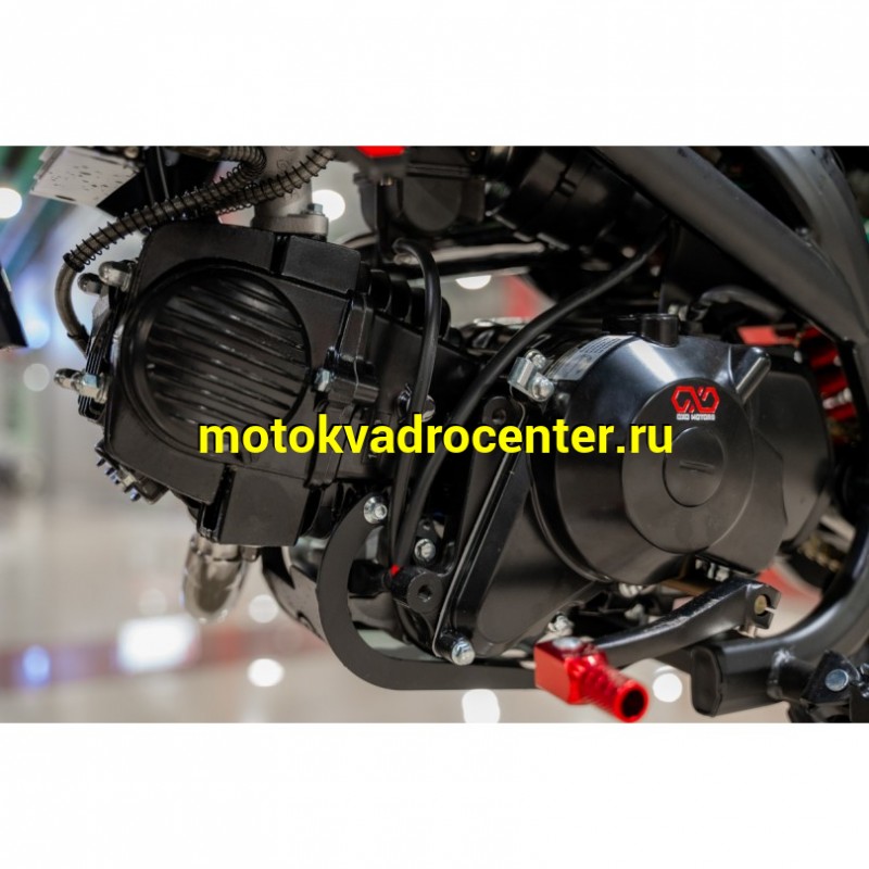 Купить  Питбайк HOT MOT OXO SHADOW 150 17"/14" (шт)  купить с доставкой по Москве и России, цена, технические характеристики, комплектация фото  - motoserp.ru