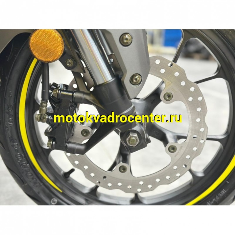 Купить  Мотоцикл Regulmoto Nibbler 300сс  LONCIN FE300 4V  17/17" масл. охл. 27л.с. (шт)  купить с доставкой по Москве и России, цена, технические характеристики, комплектация фото  - motoserp.ru