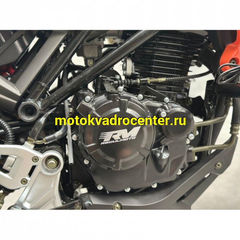 Купить  Мотоцикл Regulmoto Nibbler 300сс  LONCIN FE300 4V  17/17" масл. охл. 27л.с. (шт)  купить с доставкой по Москве и России, цена, технические характеристики, комплектация фото  - motoserp.ru