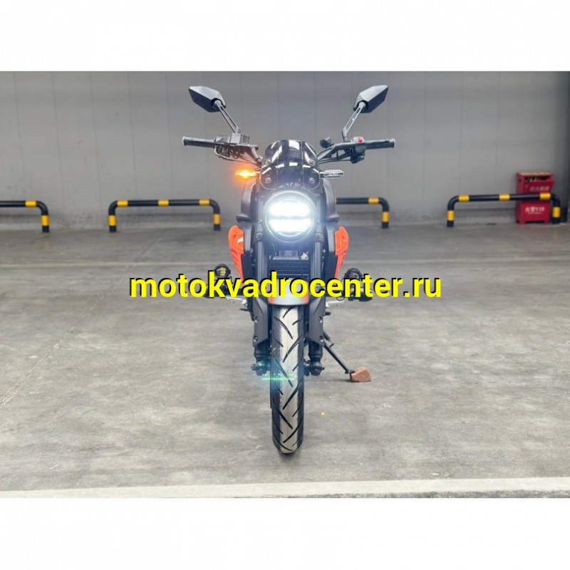 Купить  Мотоцикл Regulmoto Nibbler 300сс  LONCIN FE300 4V  17/17" масл. охл. 27л.с. (шт)  купить с доставкой по Москве и России, цена, технические характеристики, комплектация фото  - motoserp.ru