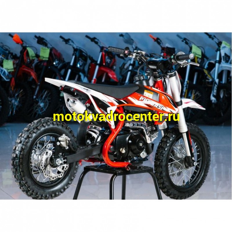Купить  Питбайк Progasi KIDS POWER 110  10/12" (спортинв), 4Т, 110сс. элктростартер, Автомат  (сборка +3000р) (шт) (Progasi купить с доставкой по Москве и России, цена, технические характеристики, комплектация фото  - motoserp.ru