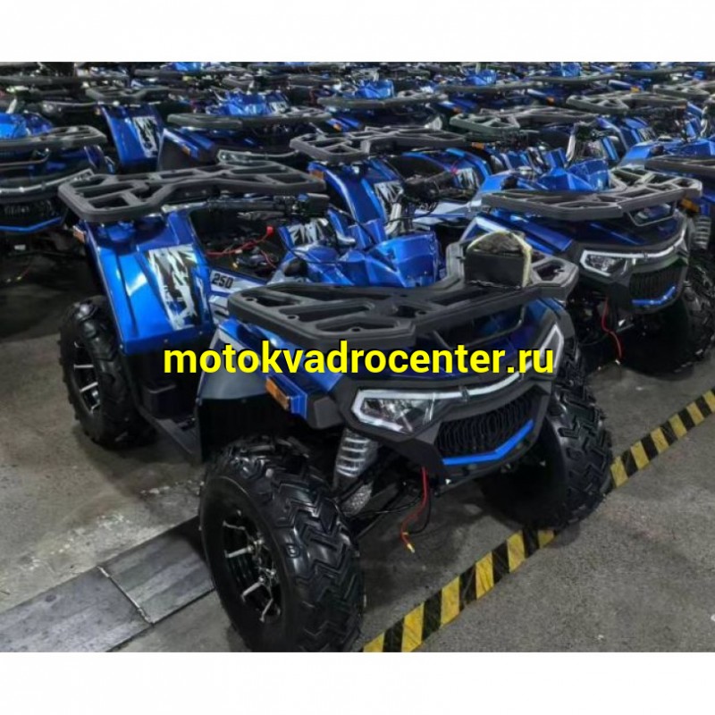 Купить  250cc Квадроцикл Tao Motor 250сс (компл. запчастей для сборки) утилит., торм на руле, лит. колеса 10&quot;, лебед. (шт) (Естай купить с доставкой по Москве и России, цена, технические характеристики, комплектация фото  - motoserp.ru