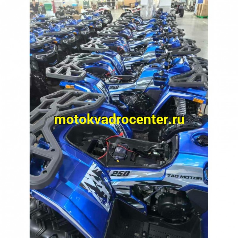 Купить  250cc Квадроцикл Tao Motor 250сс (компл. запчастей для сборки) утилит., торм на руле, лит. колеса 10&quot;, лебед. (шт) (Естай купить с доставкой по Москве и России, цена, технические характеристики, комплектация фото  - motoserp.ru
