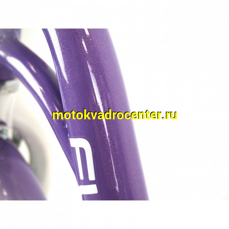 Купить  20" ORLAN WING FUNNY фиолетовый (Орлан Винг Фанни) 20"; 1ск; рама-сталь; тормоз-ножной/V-Brake (шт) (ART (M купить с доставкой по Москве и России, цена, технические характеристики, комплектация фото  - motoserp.ru