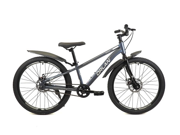 Купить  24" ORLAN WING RIDER 1.0 серый (12) (Орлан Винг Райдер 1.0) 24"; 1ск; рама-сталь; тормоз-Disk (шт) (ART1 купить с доставкой по Москве и России, цена, технические характеристики, комплектация фото  - motoserp.ru